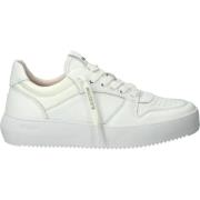 Riley - Zl81 White - LOW Sneaker Blackstone , White , Dames