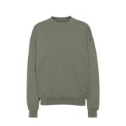 Organische oversized crew Colorful Standard , Green , Heren