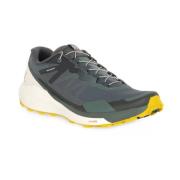 Sportieve Ride 3 Schoenen Salomon , Green , Heren