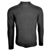 Rainwool Turtleneck Gran Sasso , Gray , Heren