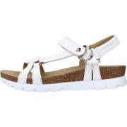 Stijlvolle platte sandalen voor vrouwen Panama Jack , White , Dames