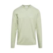 Mannen Logo Crewneck in Salie Groen Woolrich , Green , Heren