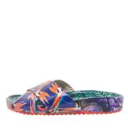 Pre-owned Leather flats Sophia Webster Pre-owned , Multicolor , Dames
