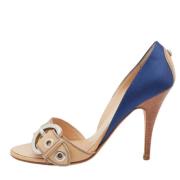 Pre-owned Leather sandals Giuseppe Zanotti Pre-owned , Blue , Dames
