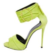 Pre-owned Suede sandals Giuseppe Zanotti Pre-owned , Green , Dames
