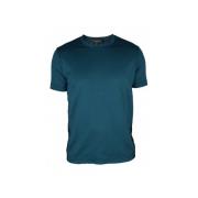 Emerald Groene Katoenen en Zijden T-Shirt Loro Piana , Blue , Heren