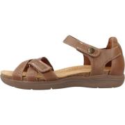 Stijlvolle platte sandalen voor vrouwen Clarks , Brown , Dames