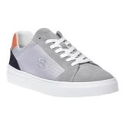 Sneaker in grey suede Baldinini , Gray , Heren