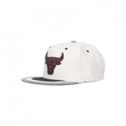 NBA Day 4 Snapback Pet Wit/Zilver Mitchell & Ness , White , Heren