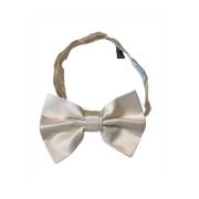 Bowties Armani Collezioni , Beige , Heren