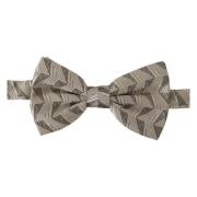 Bowties Dolce & Gabbana , Gray , Heren