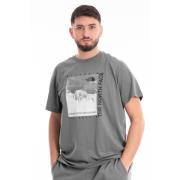 Heren Casual T-shirt The North Face , Gray , Heren