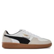 Stijlvolle Leren Schoenen Puma , Multicolor , Heren