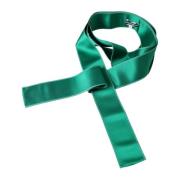 Groene Zijden Satijnen Taille Riem Dolce & Gabbana , Green , Dames