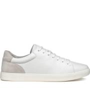 Witte Sneakers voor Mannen Geox , White , Heren