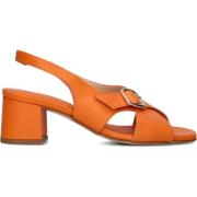 Elegante Zomer Sandalen Stefano Lauran , Orange , Dames