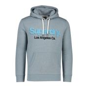 Grijze Hoodie met Slim Fit Superdry , Gray , Heren