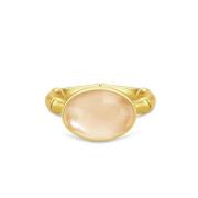 Bamboo Wisdom Ring Champagne Julie Sandlau , Beige , Dames