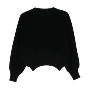 Zwarte Sweaters voor Mannen Roberto Collina , Black , Dames