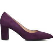 Paarse Suède Dames Pumps Peter Kaiser , Purple , Dames