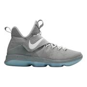 Beperkte oplage Lebron 14 Mag Nike , Multicolor , Heren