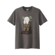 Limited Edition Passing Through Tee Bruin Kaws , Brown , Heren