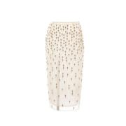 Geborduurde Tule Kokerrok Blumarine , Beige , Dames