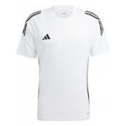 Tiro 24 T-shirt Adidas , White , Heren