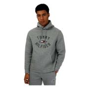 Varsity Graphic Hoody Hoodie Tommy Hilfiger , Gray , Heren