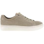 Lage Top Klassieke Sneaker Antilope UGG , Beige , Heren