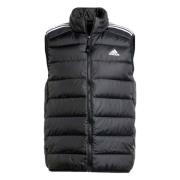 Essentials Donsvest Adidas , Black , Heren