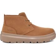 Stijlvolle Chukka-laarzen UGG , Brown , Heren