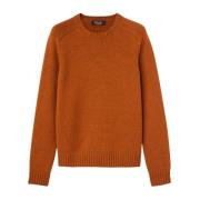 Zachte Bruine Cashmere Crew Neck Sweater Loro Piana , Brown , Dames