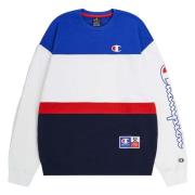 Legacy Retro Sport Hoodie Champion , Multicolor , Heren