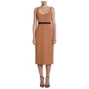 Mouwloze Lange Jurk met Rits Pinko , Brown , Dames