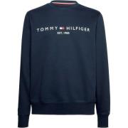 Blauwe Biologische Katoenen Trui Tommy Hilfiger , Blue , Heren