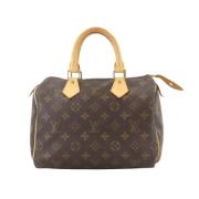 Pre-owned Canvas handbags Louis Vuitton Vintage , Brown , Dames