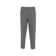 Luxe Grijze Chino Broek Aw24 Briglia , Gray , Heren