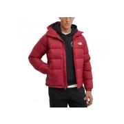 Hydrenalite Hoodie in Bordeaux Kleur The North Face , Red , Heren