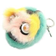 Pre-owned Fur key-holders Fendi Vintage , Multicolor , Unisex