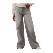 Grijze Straight Leg Jeans Alina Josh V , Gray , Dames