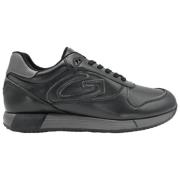 Lage Man Leren Sneakers Zwart Grijs Alberto Guardiani , Gray , Heren