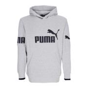 Hoodie met kleurblok en zak Puma , Gray , Heren