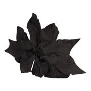 Pavot Bloem Nina Ricci , Black , Dames