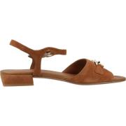 Moderne platte sandalen voor vrouwen Geox , Brown , Dames