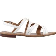 Stijlvolle platte sandalen voor vrouwen Geox , White , Dames