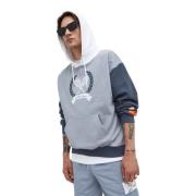 Blauwe oversized hoody Ellesse , Gray , Heren