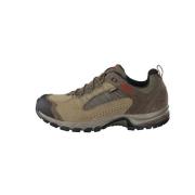 Buitenschoenen Journey PRO GTX Meindl , Gray , Heren