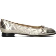 Gouden Ballerina's voor Dames Brunate , Yellow , Dames