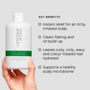 Philip Kingsley Flaky/Itchy Scalp Hydrating Curl Anti-Dandruff Shampoo...